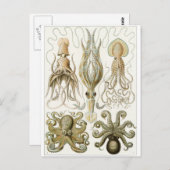 Ernst Haeckel Art Postcard: Gamochonia Postkarte (Vorne/Hinten)