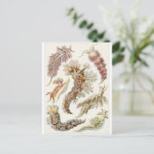 Ernst Haeckel Art Postcard: Nudibranchie Postkarte (Stehend Vorderseite)