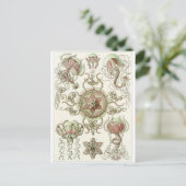 Ernst Haeckel Art Postcard: Trachomedusae Postkarte (Stehend Vorderseite)