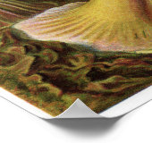 Ernst Haeckel Art Print: Actiniae Poster (Ecke)