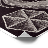 Ernst Haeckel Art Print: Amphoridea Poster (Ecke)