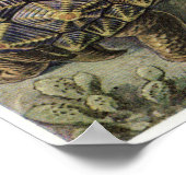 Ernst Haeckel Art Print: Chelonia Poster (Ecke)