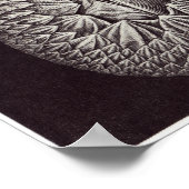 Ernst Haeckel Art Print: Cirripedia Poster (Ecke)