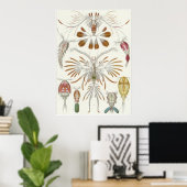 Ernst Haeckel Art Print: Copepoda Poster (Heimbüro)