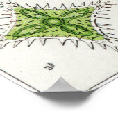 Ernst Haeckel Art Print: Desmidiea Poster (Ecke)