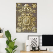Ernst Haeckel Art Print: Discomedusae Poster (Heimbüro)