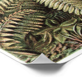 Ernst Haeckel Art Print: Filicinae Poster (Ecke)