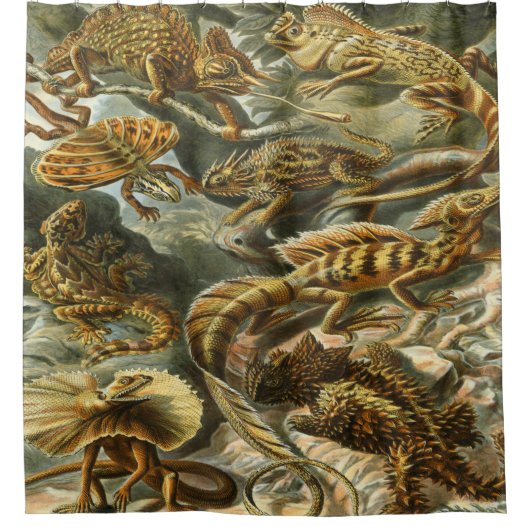 Ernst Haeckel Art Print: Lacertilia Duschvorhang (Vorderseite)