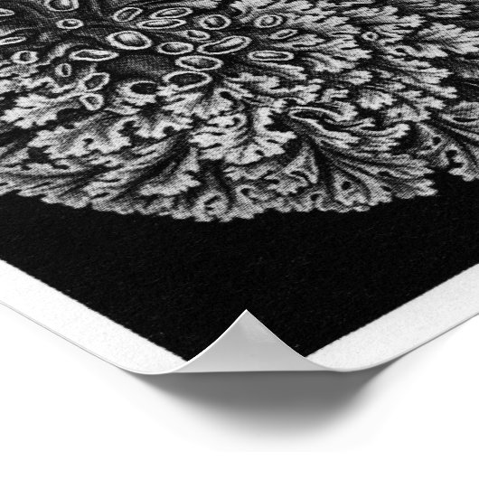 Ernst Haeckel Art Print: Lichenes Poster (Ecke)
