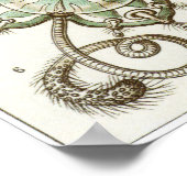 Ernst Haeckel Art Print: Narcomedusae Poster (Ecke)