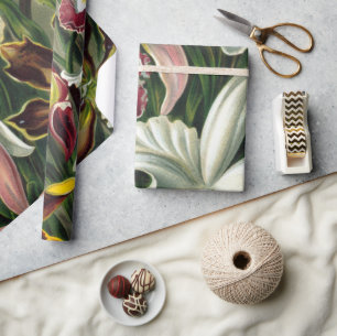 Ernst Haeckel Art Print, Orchidae Oncidiums, Tulpe Geschenkpapier