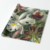 Ernst Haeckel Art Print, Orchidae Oncidiums, Tulpe Geschenkpapier (Ungerollt)