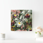 Ernst Haeckel Art Print, Orchidae Oncidiums, Tulpe Quadratische Wanduhr (Zuhause)