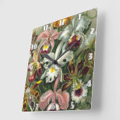 Ernst Haeckel Art Print, Orchidae Oncidiums, Tulpe Quadratische Wanduhr (Winkel)