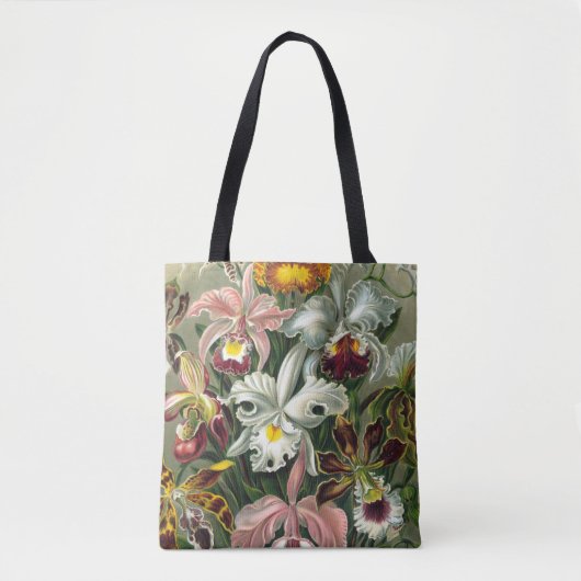 Ernst Haeckel Art Print, Orchidae Oncidiums, Tulpe Tasche (Vorderseite)