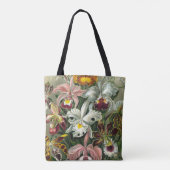 Ernst Haeckel Art Print, Orchidae Oncidiums, Tulpe Tasche (Rückseite)