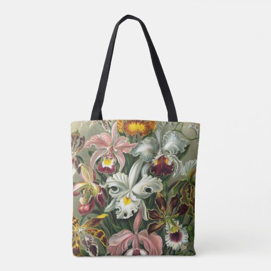 Ernst Haeckel Art Print, Orchidae Oncidiums, Tulpe Tasche (Rückseite)
