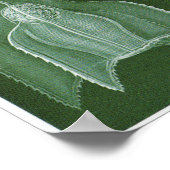 Ernst Haeckel Art Print: Siphonophorae Poster (Ecke)