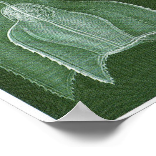 Ernst Haeckel Art Print: Siphonophorae Poster (Ecke)