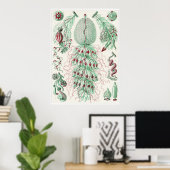 Ernst Haeckel Art Print: Siphonophorae Poster (Heimbüro)