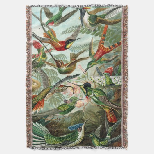 Ernst Haeckel Art Print: Trochilidae Decke (Vorderseite Vertikal)