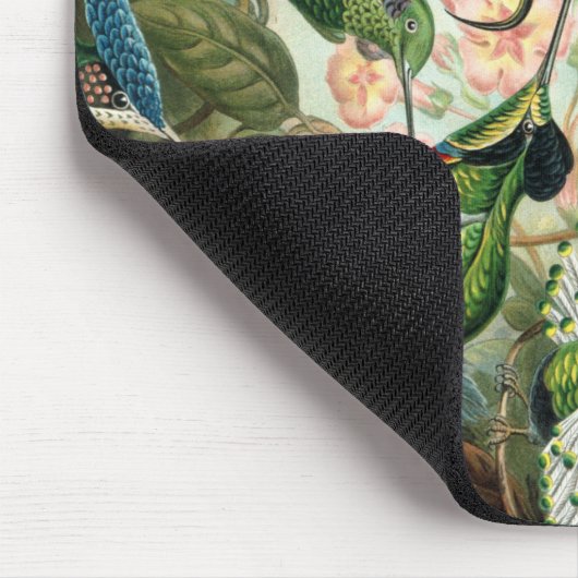 Ernst Haeckel Art Print: Trochilidae Mousepad (Ecke)