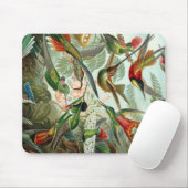 Ernst Haeckel Art Print: Trochilidae Mousepad (Mit Mouse)