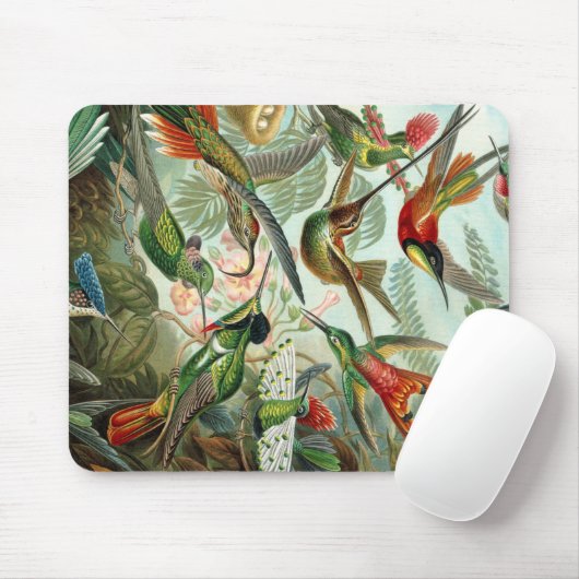 Ernst Haeckel Art Print: Trochilidae Mousepad (Mit Mouse)