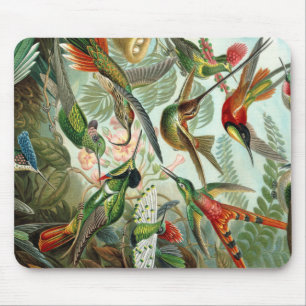 Ernst Haeckel Art Print: Trochilidae Mousepad