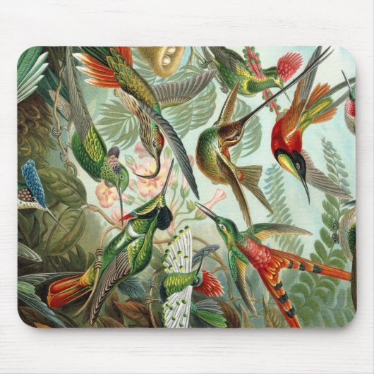 Ernst Haeckel Art Print: Trochilidae Mousepad (Vorne)