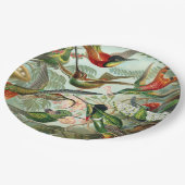 Ernst Haeckel Art Print: Trochilidae Pappteller (Schrägansicht)