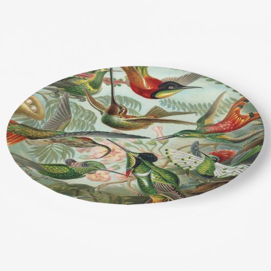 Ernst Haeckel Art Print: Trochilidae Pappteller (Schrägansicht)