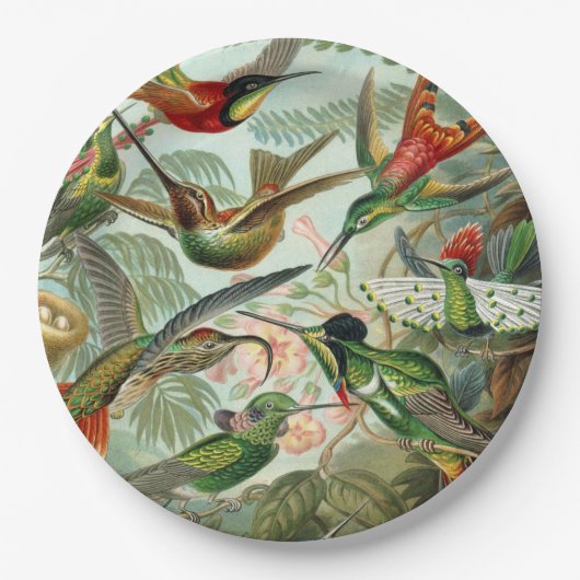 Ernst Haeckel Art Print: Trochilidae Pappteller (Vorderseite)
