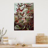 Ernst Haeckel Art Print: Trochilidae Poster (Küche)