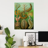 Ernst Haeckel Artforms of Nature Print Poster (Heimbüro)
