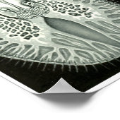 Ernst Haeckel Artforms of Nature Print Poster (Ecke)