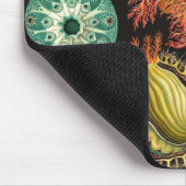 Ernst Haeckel - Ascidiae Detail1 Mousepad (Ecke)
