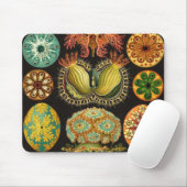 Ernst Haeckel - Ascidiae Detail2 Mousepad (Mit Mouse)
