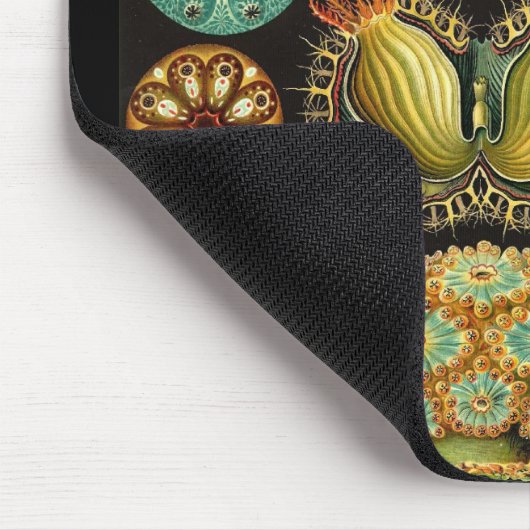Ernst Haeckel - Ascidiae Mousepad (Ecke)