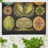 Ernst Haeckel Ascidiae Sea Life Illustration Geschirrtuch (Gefaltet)