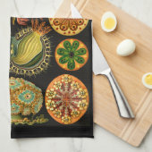 Ernst Haeckel Ascidiae Sea Life Illustration Geschirrtuch (Viertel Falte)