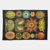 Ernst Haeckel Ascidiae Sea Life Illustration Geschirrtuch (Horizontal)