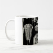 Ernst Haeckel Aspidonia Kaffeetasse (Links)