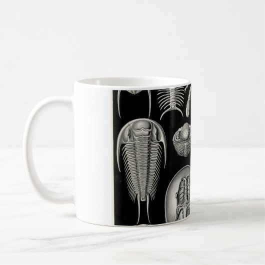 Ernst Haeckel Aspidonia Kaffeetasse (Links)