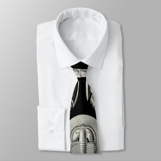 Ernst Haeckel Aspidonia Krawatte (Gebunden)