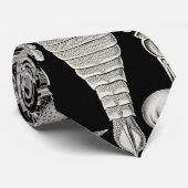 Ernst Haeckel Aspidonia Krawatte (Gerollt)