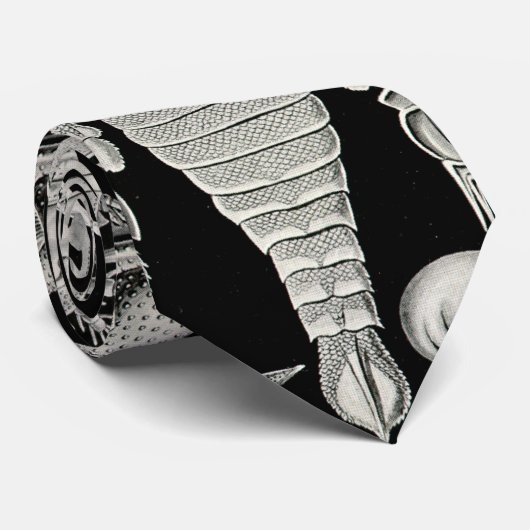 Ernst Haeckel Aspidonia Krawatte (Gerollt)