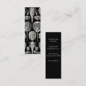 Ernst Haeckel Aspidonia Mini Visitenkarte (Vorne/Hinten)