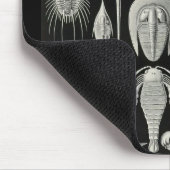 Ernst Haeckel - Aspidonia Mousepad (Ecke)