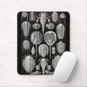 Ernst Haeckel - Aspidonia Mousepad (Mit Mouse)